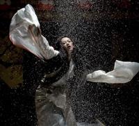 Memoirs of a Geisha - 8 x 10 Color Photo #37