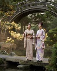 Memoirs of a Geisha - 8 x 10 Color Photo #43