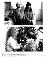 Mermaids - 8 x 10 B&W Photo #10