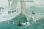 Message in a Bottle - 8 x 10 Color Photo #12