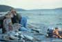Message in a Bottle - 8 x 10 Color Photo #29