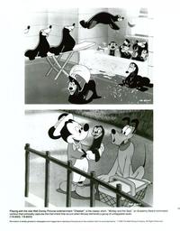 Mickey and the Seal - 8 x 10 B&W Photo #1