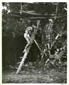 Miss Robin Crusoe - 8 x 10 B&W Photo #7