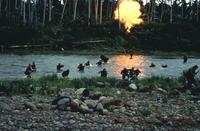 Missing in Action - 8 x 10 Color Photo #7