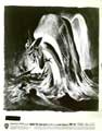 Moby Dick - 8 x 10 B&W Photo #11