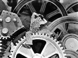 Modern Times - 8 x 10 B&W Photo #5