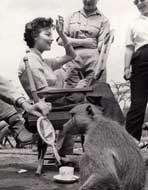 Mogambo - 8 x 10 B&W Photo #10