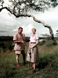 Mogambo - 8 x 10 Color Photo #3