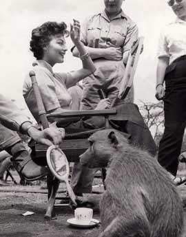 Mogambo - 8 x 10 B&W Photo #10