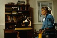 Monkey Shines - 8 x 10 Color Photo #3