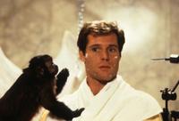 Monkey Shines - 8 x 10 Color Photo #6