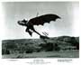 Monkey's Uncle - 8 x 10 B&W Photo #8