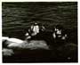 Monster From the Ocean Floor - 8 x 10 B&W Photo #3