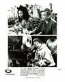 Moonlight and Valentino - 8 x 10 B&W Photo #3
