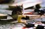 Mouse Hunt - 8 x 10 Color Photo #2