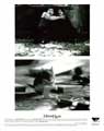 Mouse Hunt - 8 x 10 B&W Photo #1