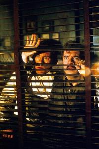 Mouse Hunt - 8 x 10 Color Photo #5