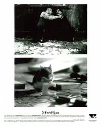 Mouse Hunt - 8 x 10 B&W Photo #1