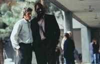 Mr. Jones - 8 x 10 Color Photo #14