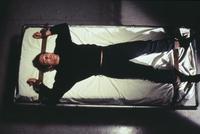 Mr. Jones - 8 x 10 Color Photo #17