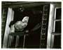 Murder Ahoy - 8 x 10 B&W Photo #4