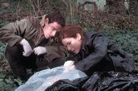 Murder by Numbers - 8 x 10 Color Photo #4