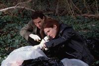 Murder by Numbers - 8 x 10 Color Photo #11