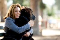 Must Love Dogs - 8 x 10 Color Photo #3