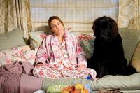 Must Love Dogs - 8 x 10 Color Photo #23