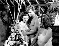 Mutiny on the Bounty - 8 x 10 B&W Photo #10