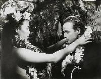 Mutiny on the Bounty - 8 x 10 B&W Photo #6