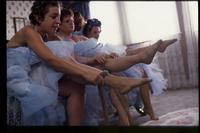 My Big Fat Greek Wedding - 8 x 10 Color Photo #9