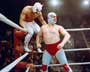 Nacho Libre - 8 x 10 Color Photo #22