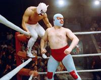 Nacho Libre - 8 x 10 Color Photo #22