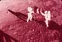 NASA-Apollo 11 Moon Walk - 8 x 10 Color Photo #5