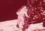 NASA-Apollo 11 Moon Walk - 8 x 10 Color Photo #15
