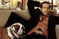 National Lampoon's Van Wilder - 8 x 10 Color Photo #2