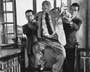 Never on Sunday - 8 x 10 B&W Photo #9