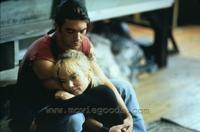 Never Talk to Strangers - 8 x 10 Color Photo #1