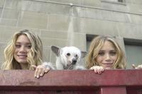 New York Minute - 8 x 10 Color Photo #1