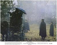 Night of Dark Shadows - 8 x 10 Color Photo #4