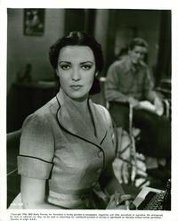 Night Without End - 8 x 10 B&W Photo #3