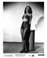 Nightmare Alley - 8 x 10 B&W Photo #1
