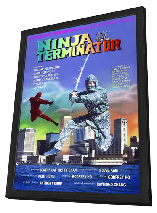 Ninja Terminator movie