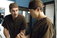 Nip/Tuck (TV) - 8 x 10 Color Photo #040