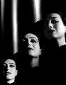 No More Ladies - 8 x 10 B&W Photo #1
