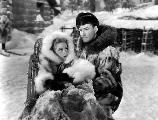 Northern Pursuit - 8 x 10 B&W Photo #3