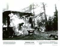 Nowhere to Hide - 8 x 10 B&W Photo #3