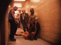 NYPD Blue - 8 x 10 Color Photo #31