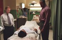 NYPD Blue - 8 x 10 Color Photo #74